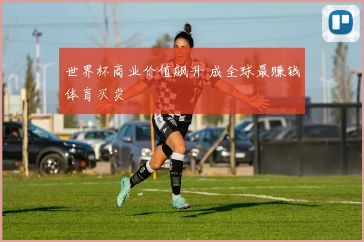世界杯商业价值飙升 成全球最赚钱体育买卖