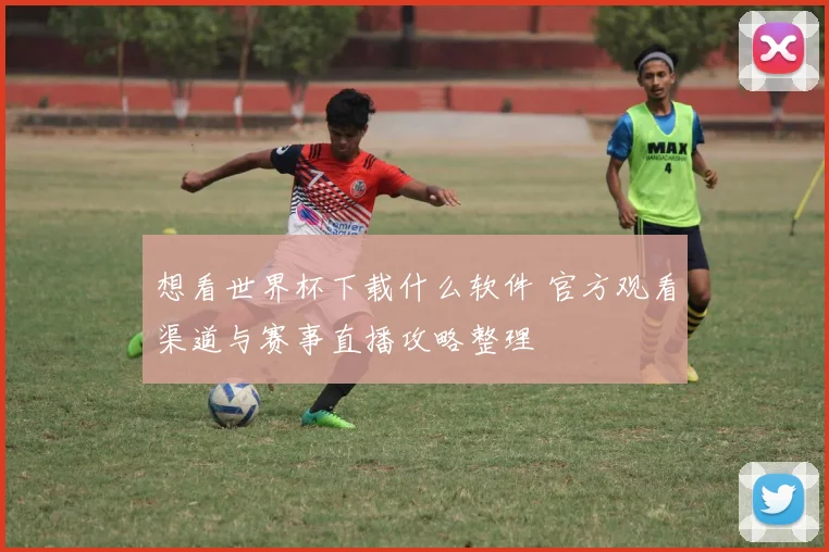 想看世界杯下载什么软件 官方观看渠道与赛事直播攻略整理