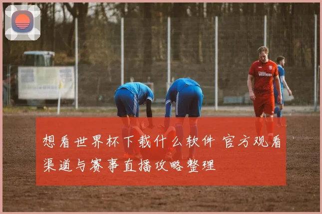 想看世界杯下载什么软件 官方观看渠道与赛事直播攻略整理